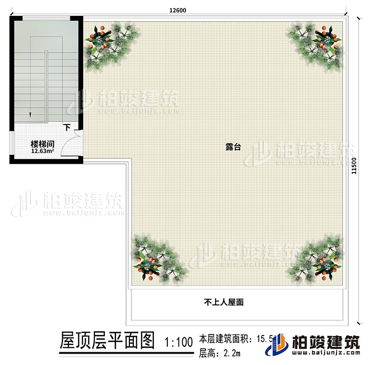 房顶：楼梯间、露台